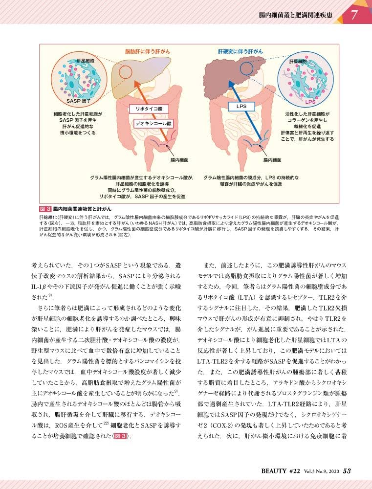 美容皮膚医学ＢＥＡＵＴＹ ＃２３（Ｖｏｌ．３　Ｎｏ．１０/医学出版/鈴木芳郎（単行本） Amazon.co.jp: 美容皮膚医学BEAUTY 第23号(Vol.3 No.10, 2020